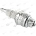 Bujie Briggs and Stratton Champion RJ19LM (Original)